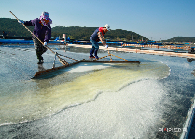 충남태안 명품 ‘송화소금’ 본격 생산