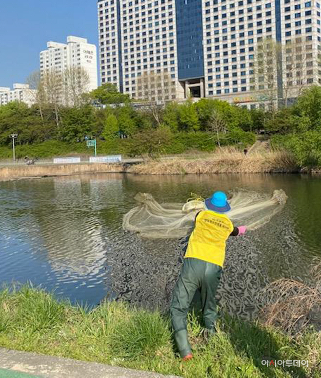 배스투망