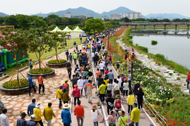 장성 황룡강 (洪)길동무 꽃길축제’