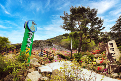 경산시- 시민들의 새로운 숲속 힐링 공간  경산 갓바위 캠핑장