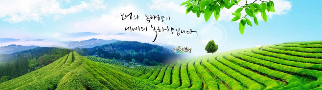 보성군