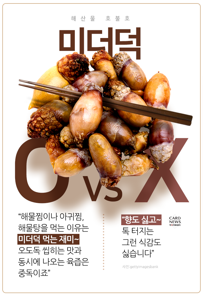 카드 뉴스 이미지