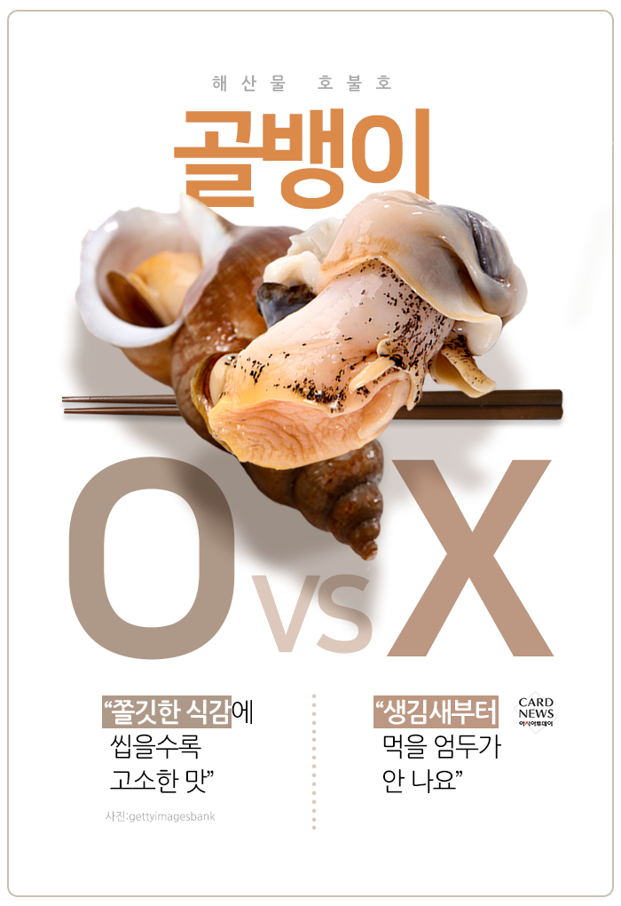 카드 뉴스 이미지