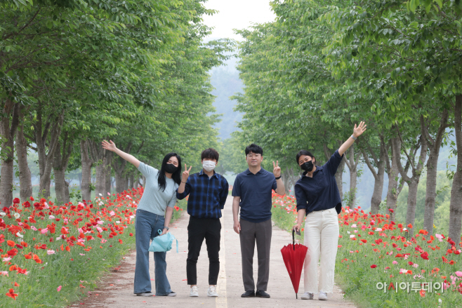 의령 양귀비