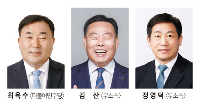 무안군수 후보