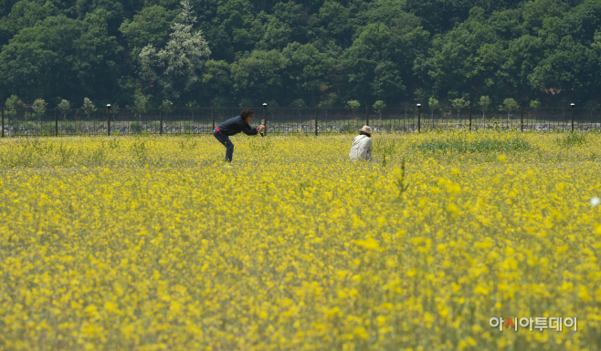 DSC_1511 사본