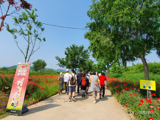 20220523-꽃양귀비로 화(花)합한 초동연가길 (1)