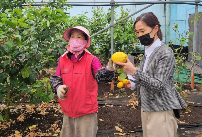 2022년 신소득 원예특화단지 조성사업’ 공모 선정 레몬 재배