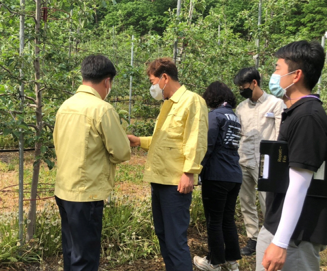 1. 홍석표 봉화 부군수, 석포면 우박 피해 현장 방문 (1)