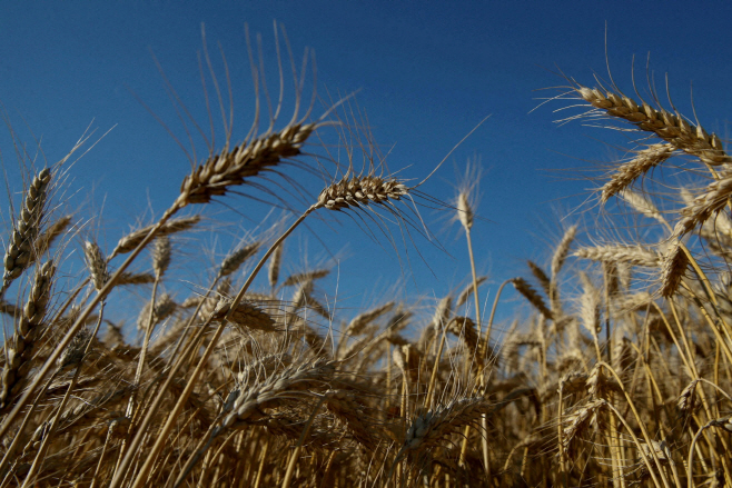 UKRAINE-CRISIS/UN-FOOD-RUSSIA <YONHAP NO-1050> (REUTERS)