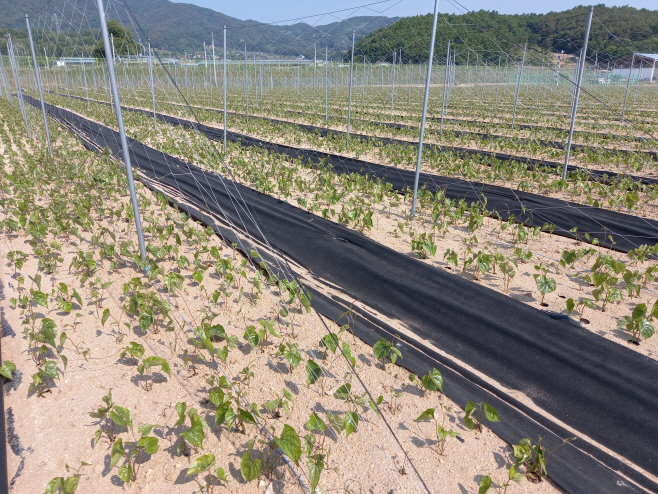 (3-1)마_디지털_농업_연구_착수(2)