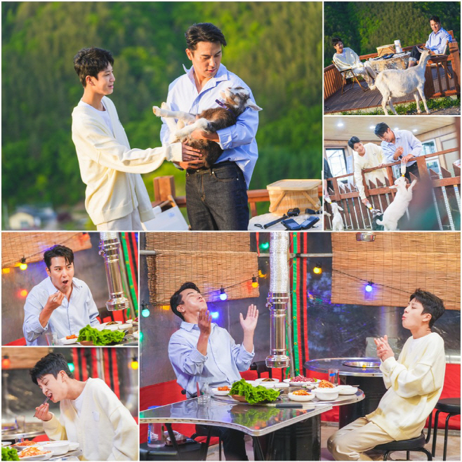 0530_동원아여행가자_태백초원