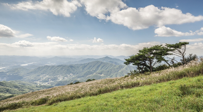 사본 -01.양평 100년의 숲 정상