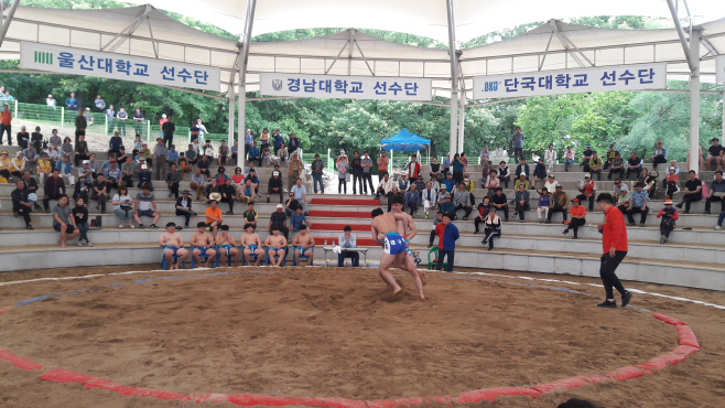 경산시- 2022 경산자인단오제 기념 대학장사 씨름대회 및 경북