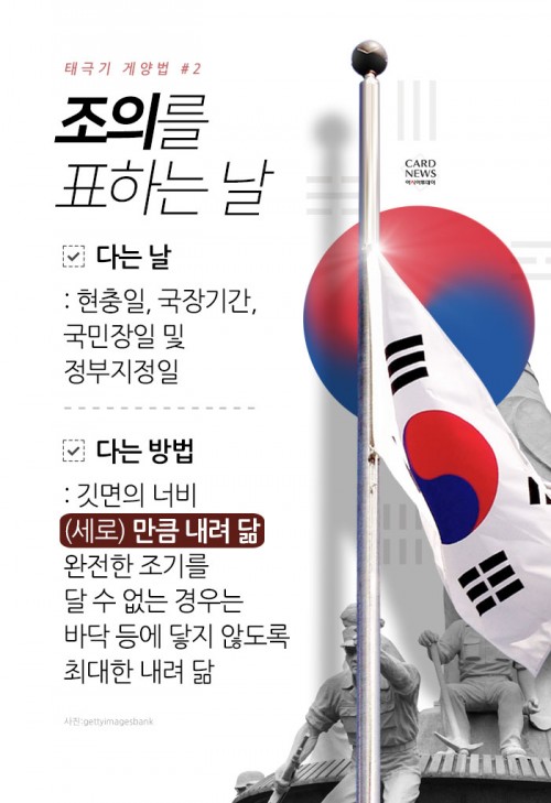 카드 뉴스 이미지