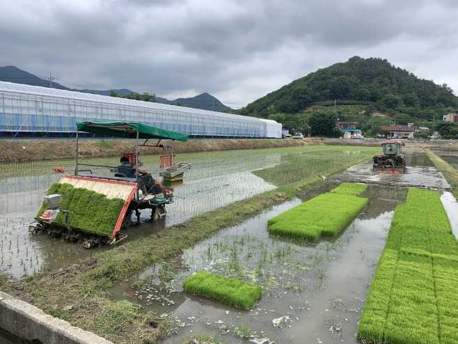 벼농사 3저·3고 운동 추진