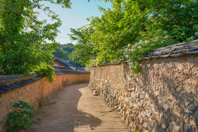 여행/ 성주 한개마을