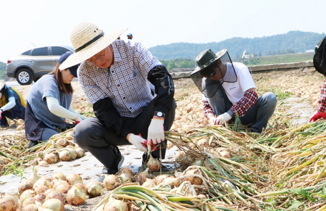 나주시