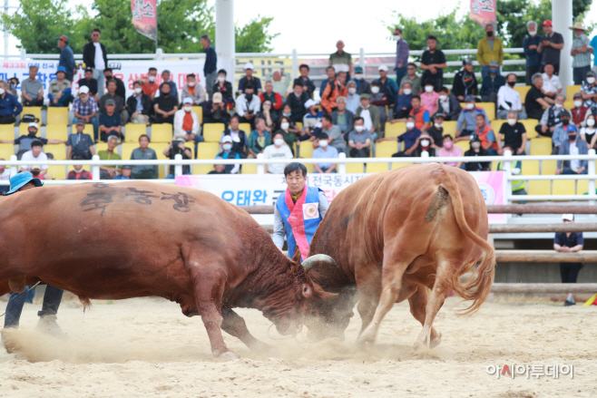 갑투