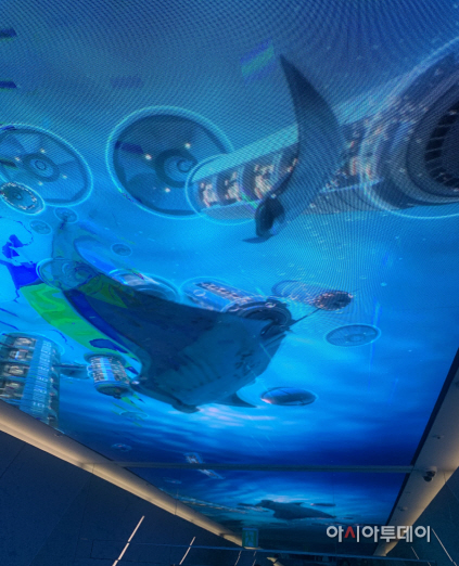 _20220618_234316080_03