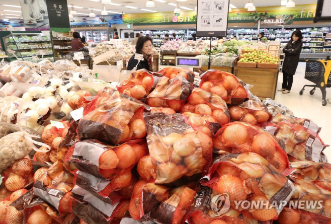 양파 연합사진