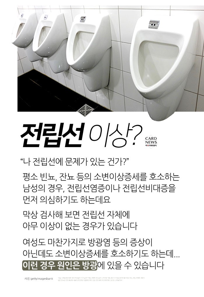 카드 뉴스 이미지