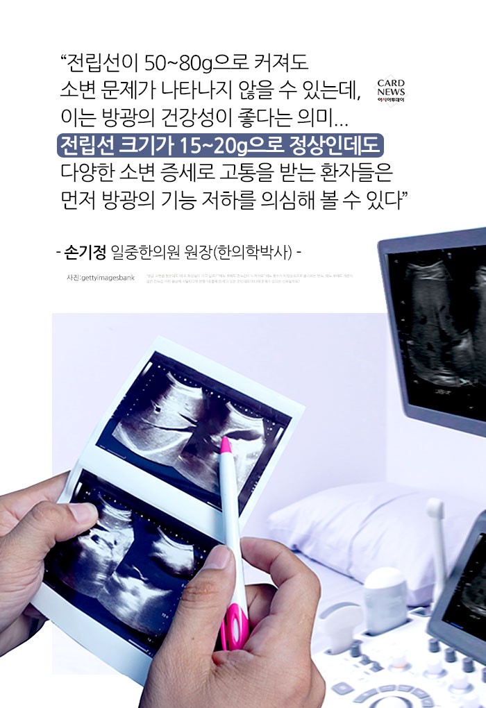 카드 뉴스 이미지