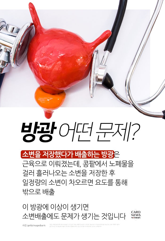 카드 뉴스 이미지