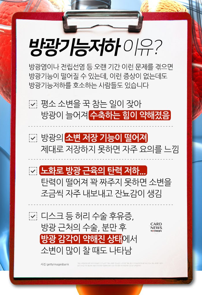 카드 뉴스 이미지