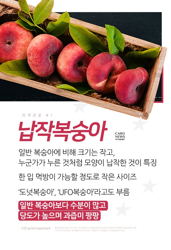 카드 뉴스 이미지