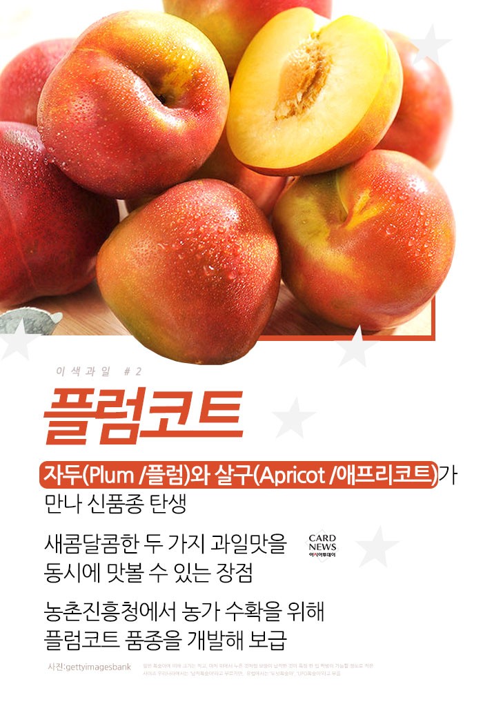 카드 뉴스 이미지