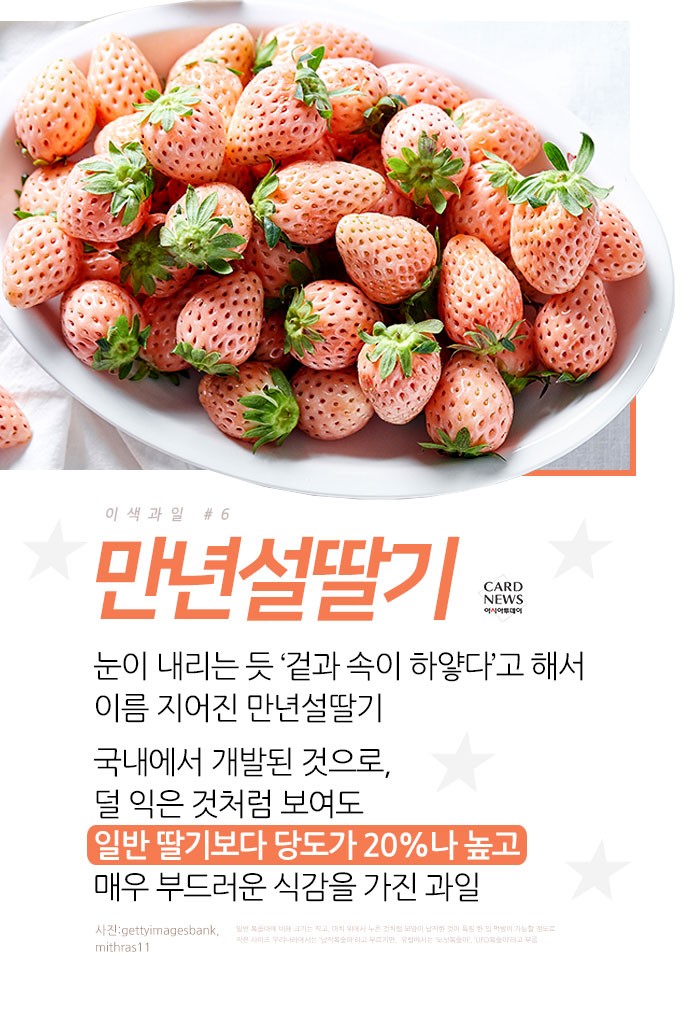 카드 뉴스 이미지