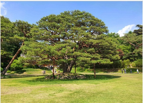 문재