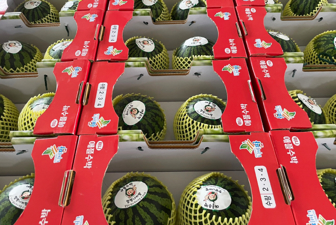 전남농업기술원