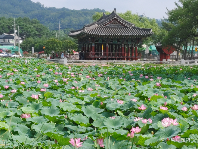 연지