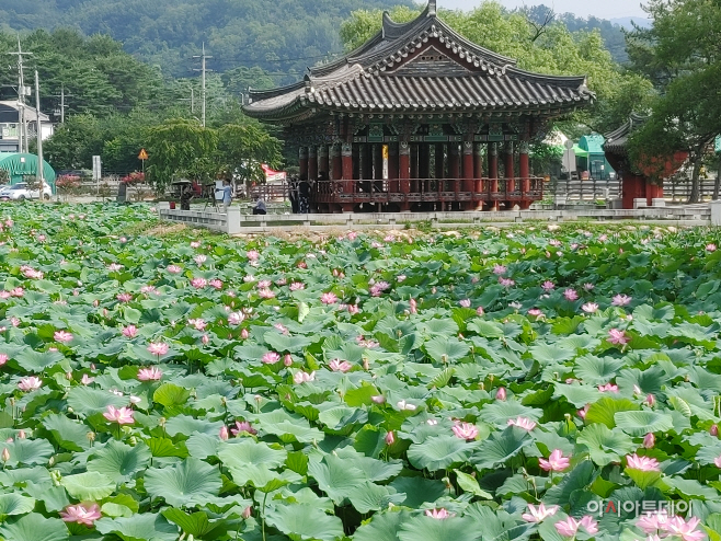 연지