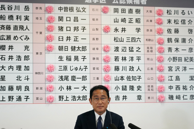 JAPAN-POLITICS <YONHAP NO-3887> (AFP)