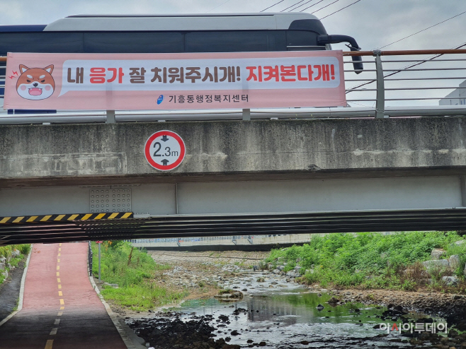 애완견 변