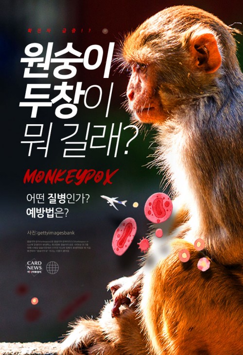 카드 뉴스 이미지