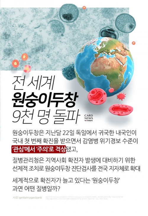 카드 뉴스 이미지