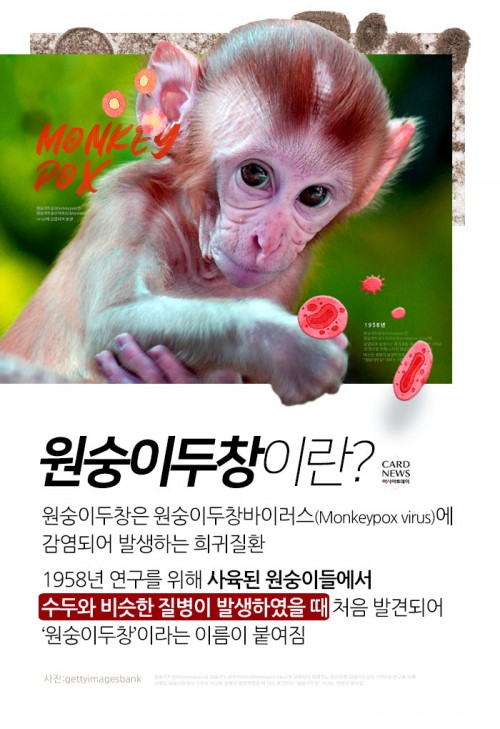 카드 뉴스 이미지