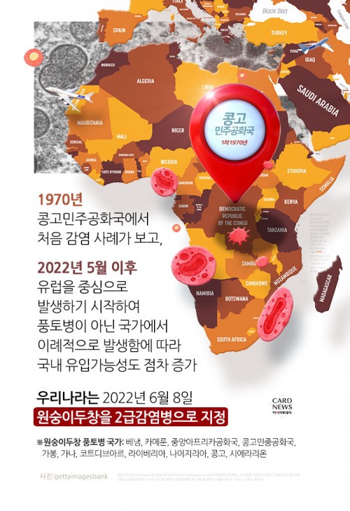 카드 뉴스 이미지