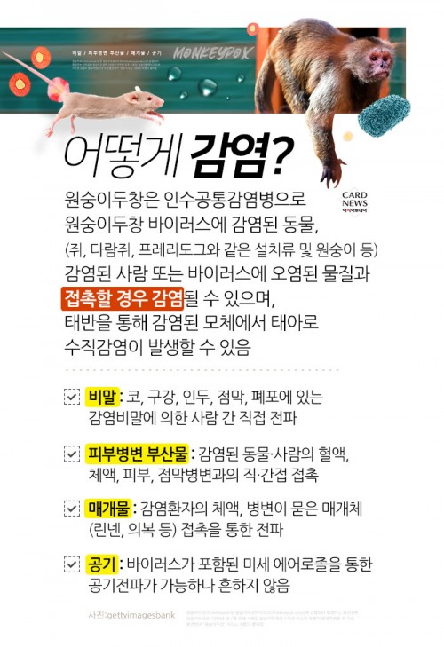카드 뉴스 이미지
