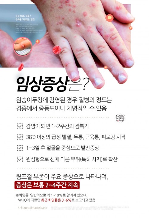 카드 뉴스 이미지