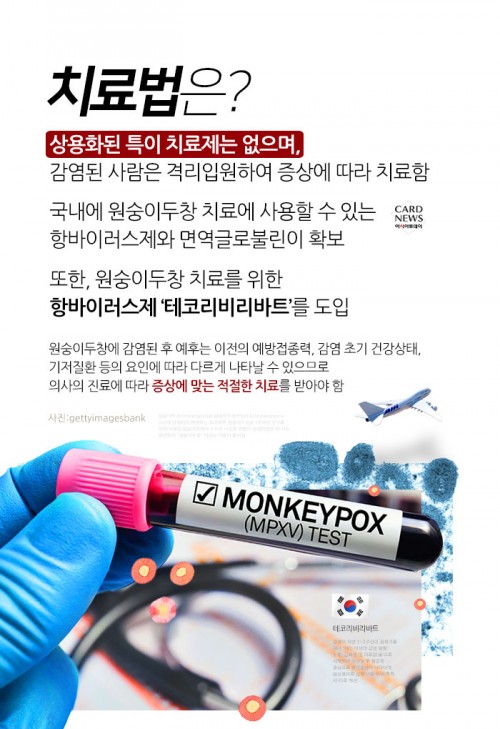 카드 뉴스 이미지