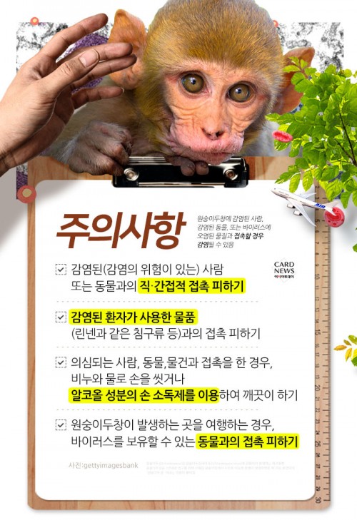 카드 뉴스 이미지
