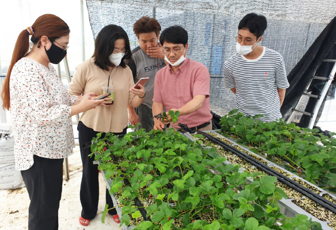 전남농업기술원