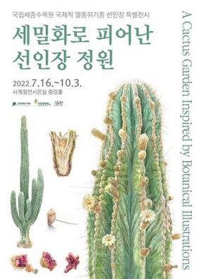 선인장
