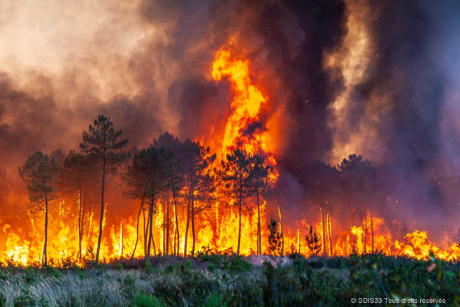 France Wildfires