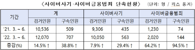 사이버범죄